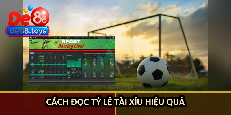 Cách đọc tỷ lệ tài xỉu hiệu quả