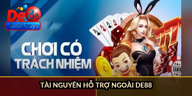 Tài nguyên hỗ trợ ngoài DE88